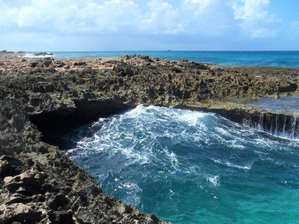 Aruba Cunucu Palm Beach