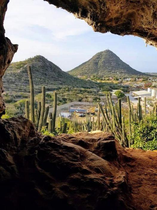 Apartamento Aruba Backpackers *