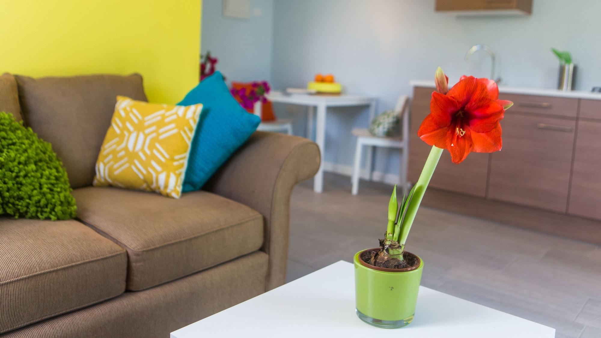 Bubali Bliss Aparthotel