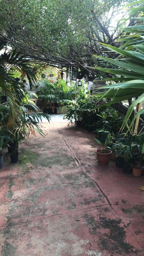 Magical Garden Hospedagem domiciliar
