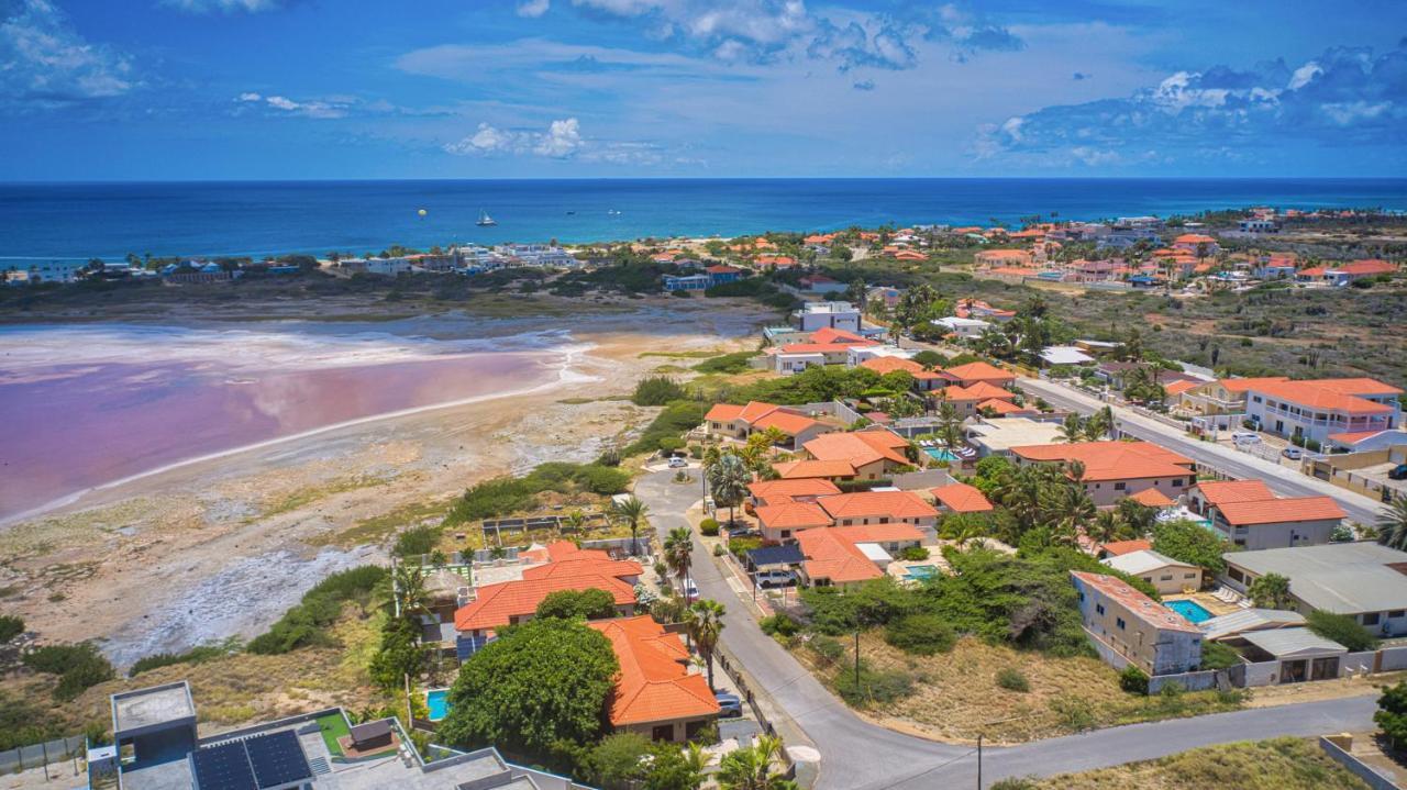 Y Solo Unique Private Walking Distance To The Palm Beach