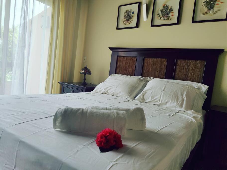 Aruba Family Oasis 2Br Pool 3Min Walk To Eagle Beach