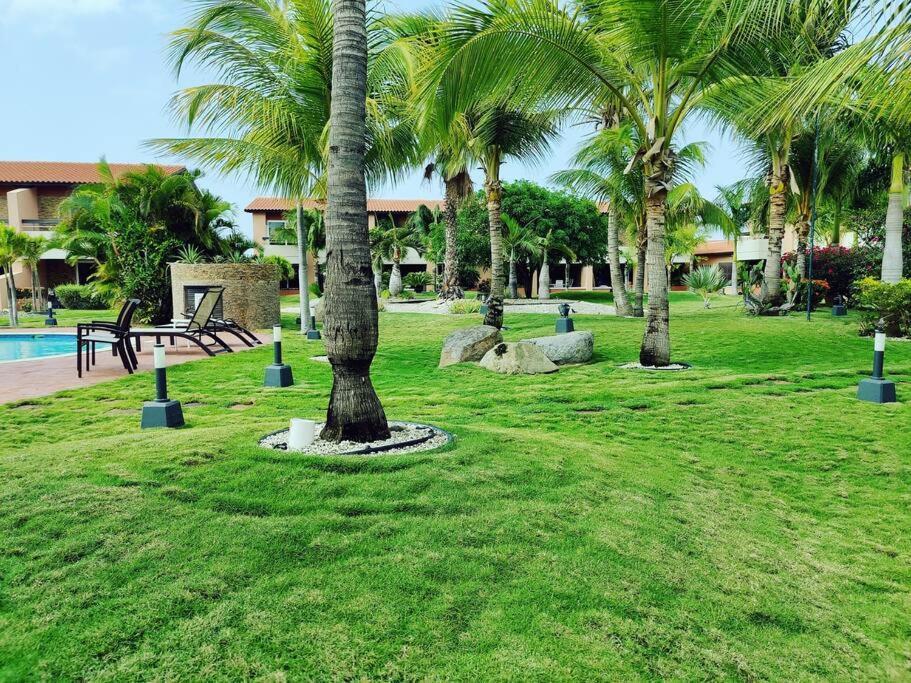 Apartment Aruba Family Oasis 2Br Pool 3Min Walk To Eagle Beach Palm Beach