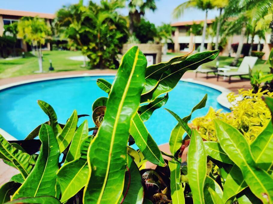 Aruba Family Oasis 2Br Pool 3Min Walk To Eagle Beach *