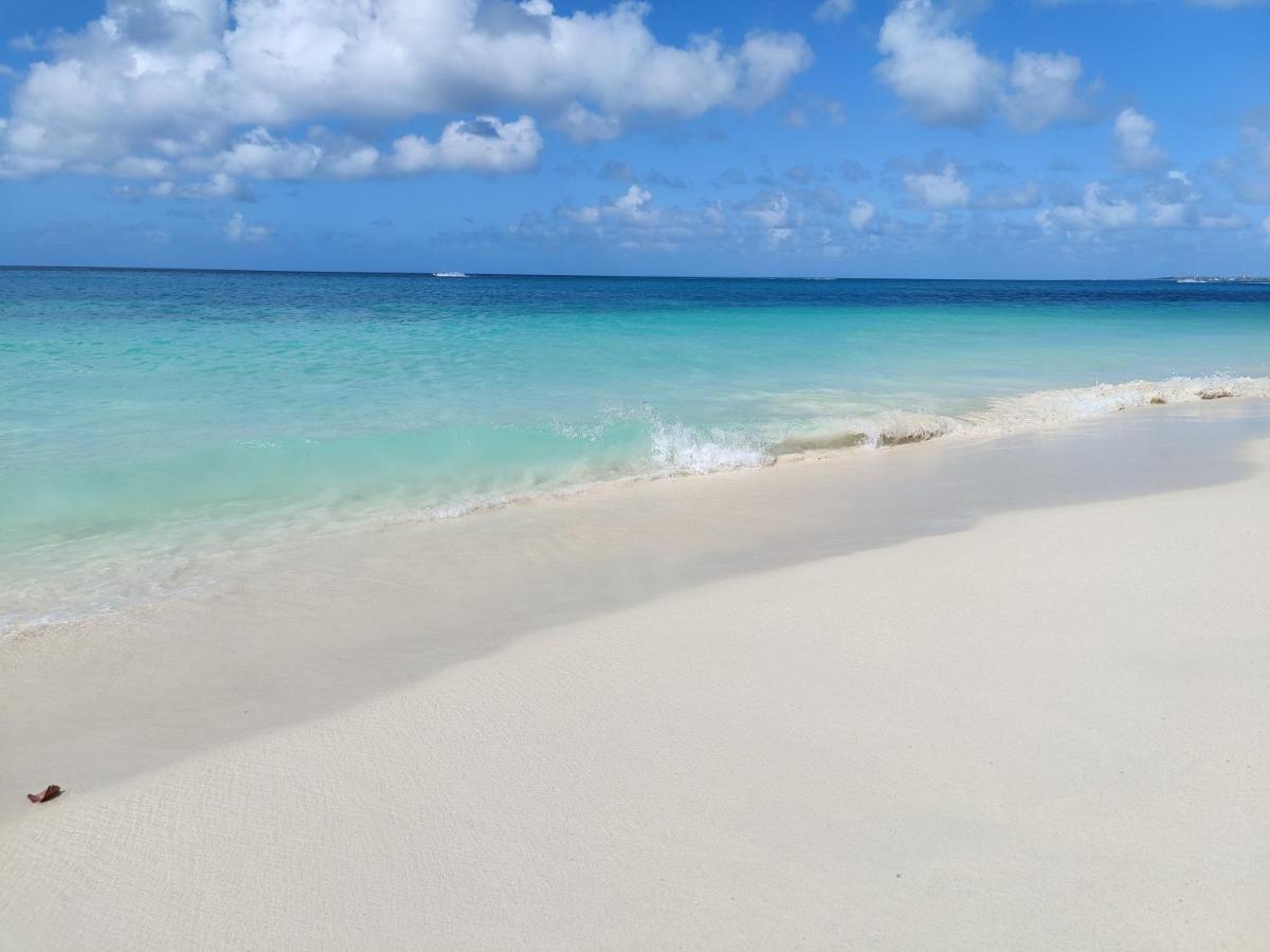 Aruba Family Oasis 2Br Pool 3Min Walk To Eagle Beach Apartment Palm Beach