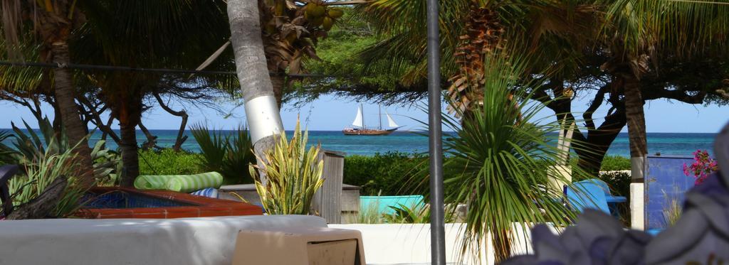 Beach House Aruba Apartments Palm Beach