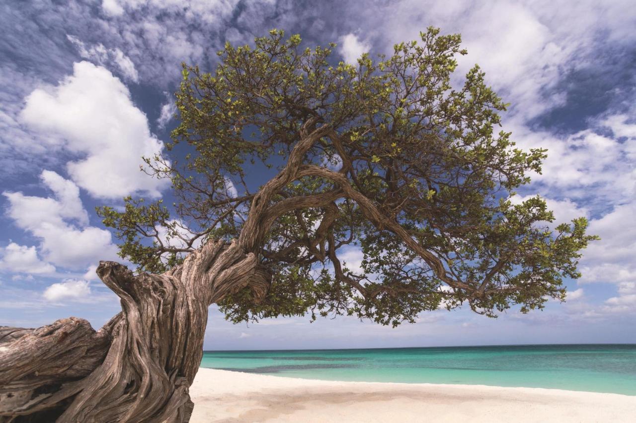 The Ritz-carlton, Aruba Hotel 5*