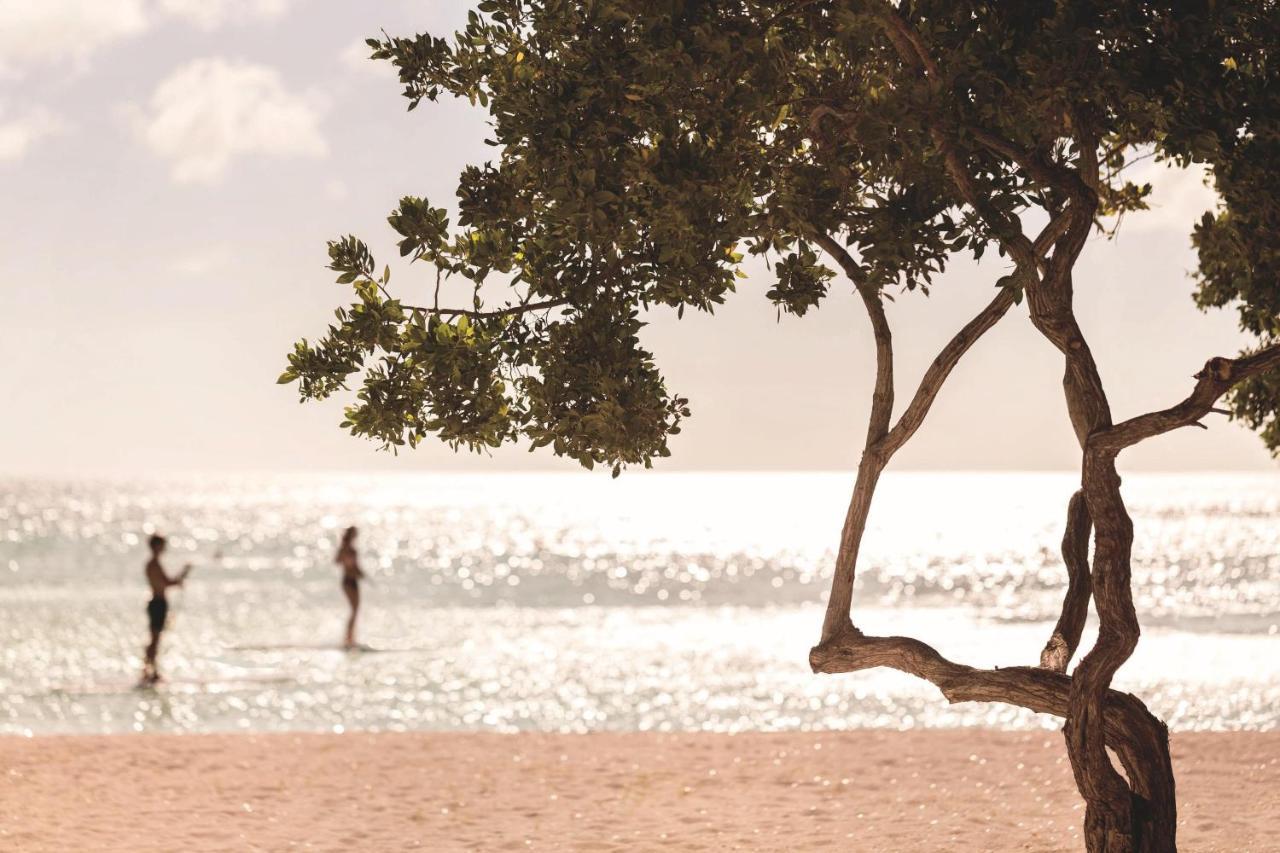 The Ritz-carlton, Aruba Hotel