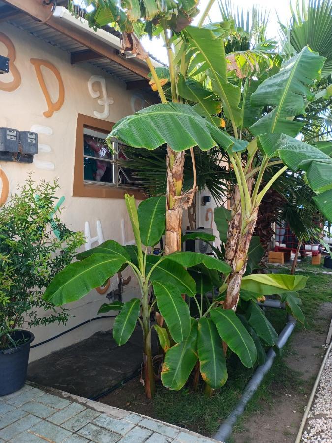 Aruba Backpackers Apartamento