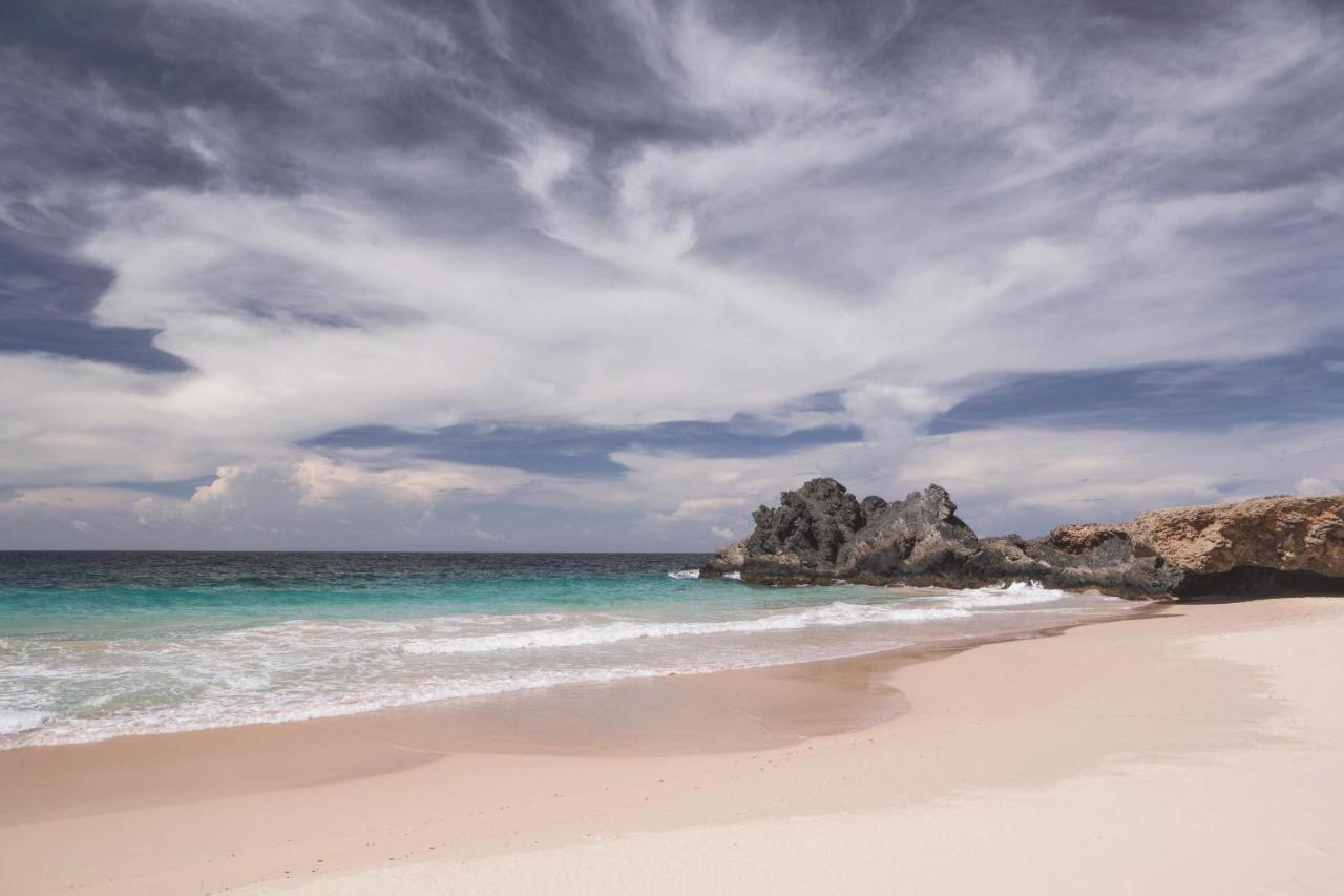 The Ritz-carlton, Aruba Hotel 5*