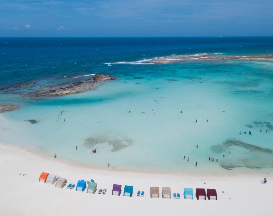 Coral 15: Oceanfront Penthouse With Private Pool And Theater * Oranjestad