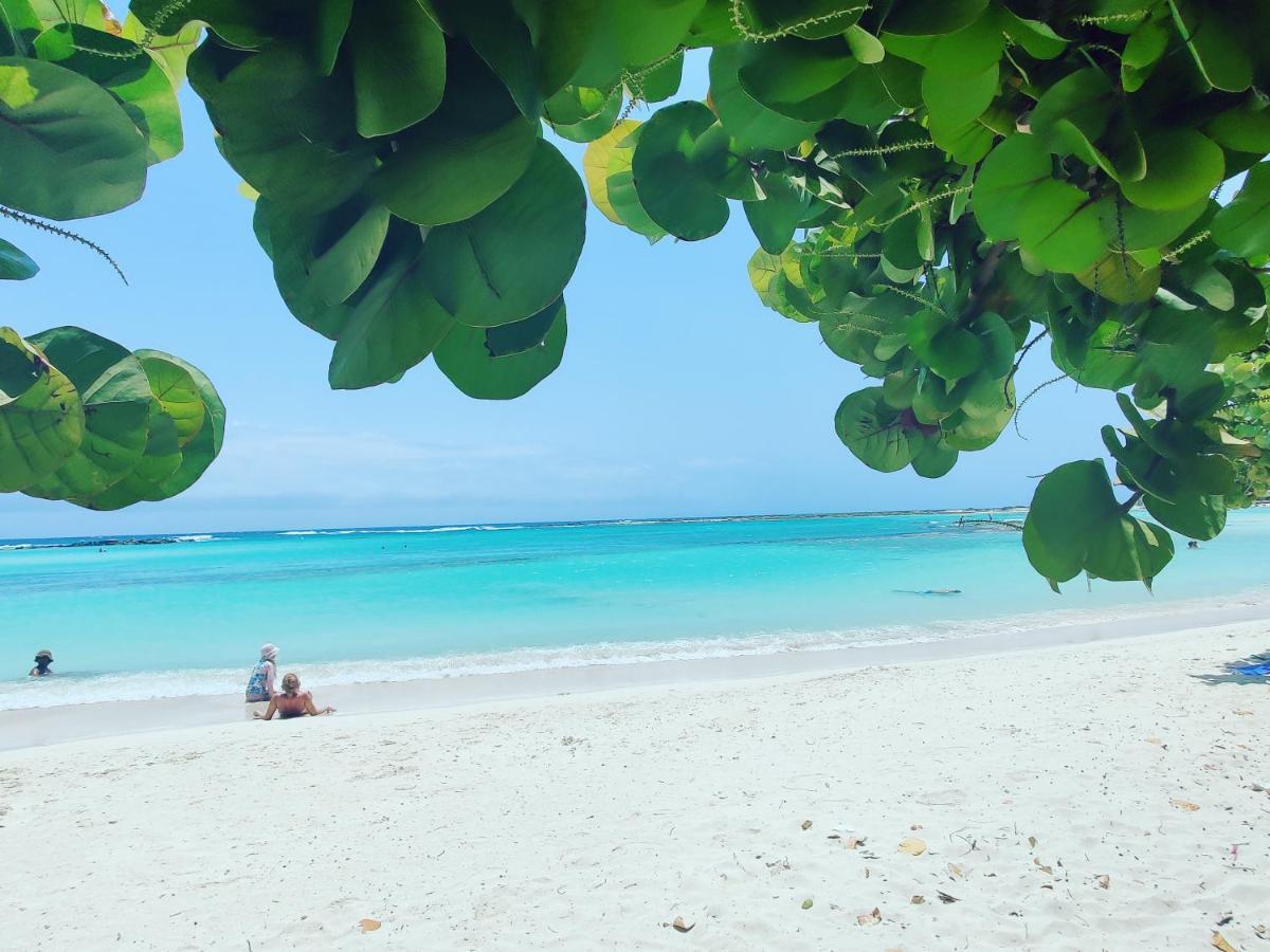 Aruba Family Oasis 2Br Pool 3Min Walk To Eagle Beach Apartment *