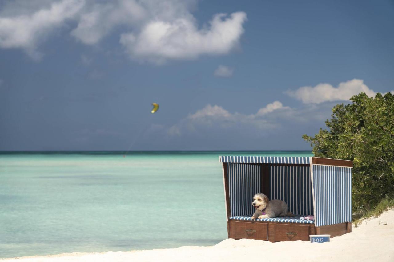 The Ritz-carlton, Aruba Hotel Palm Beach