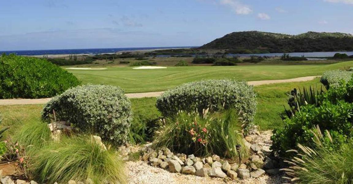 Tierra Del Sol...ocean Front Golf And Tennis *