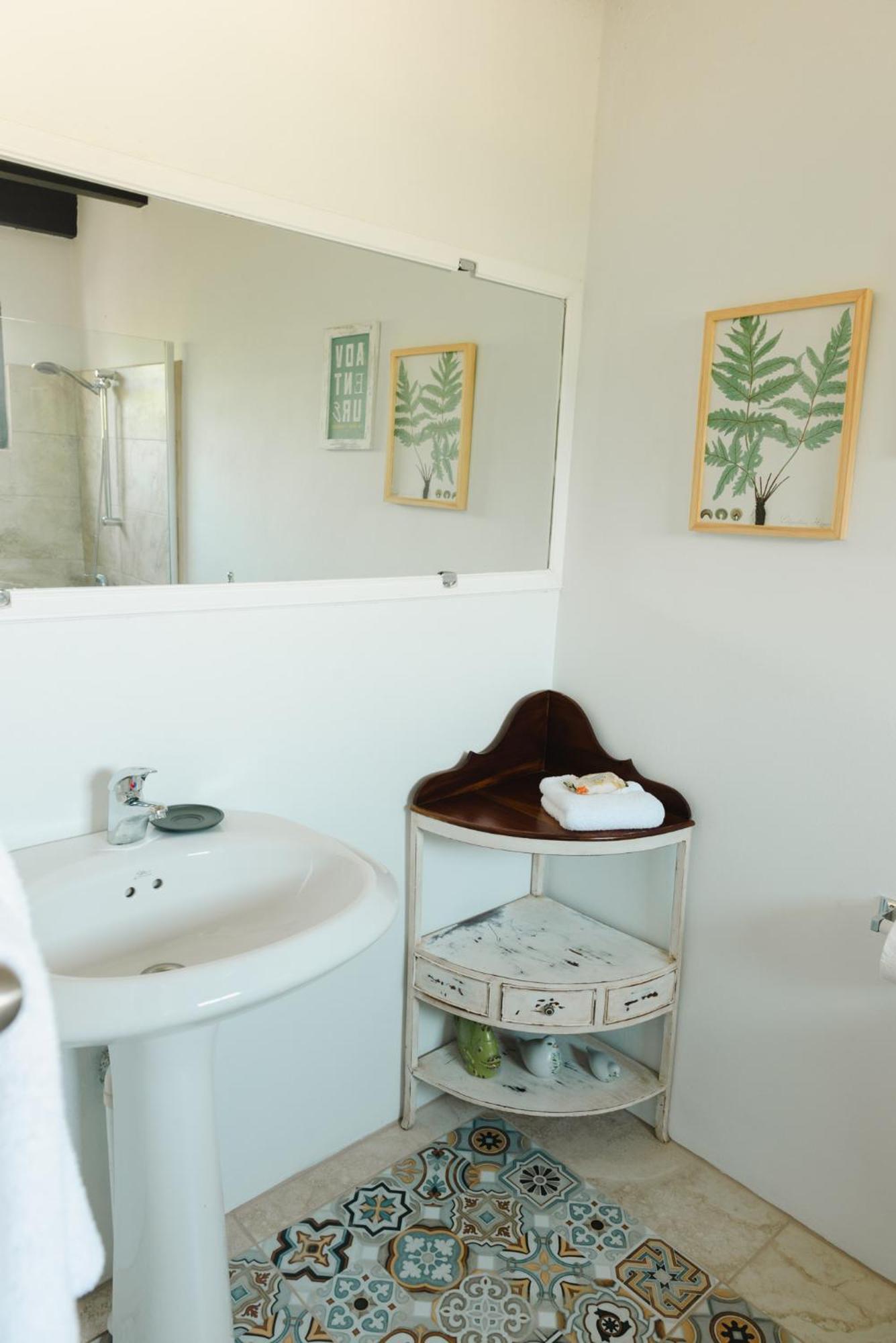 Bougainvillea Aruba Rumba Homestay Palm Beach