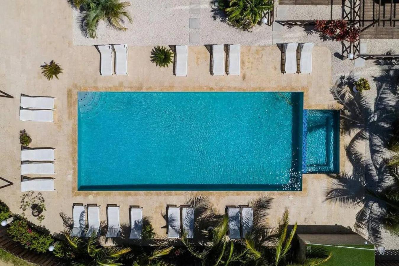 Large Luxury On Palm *