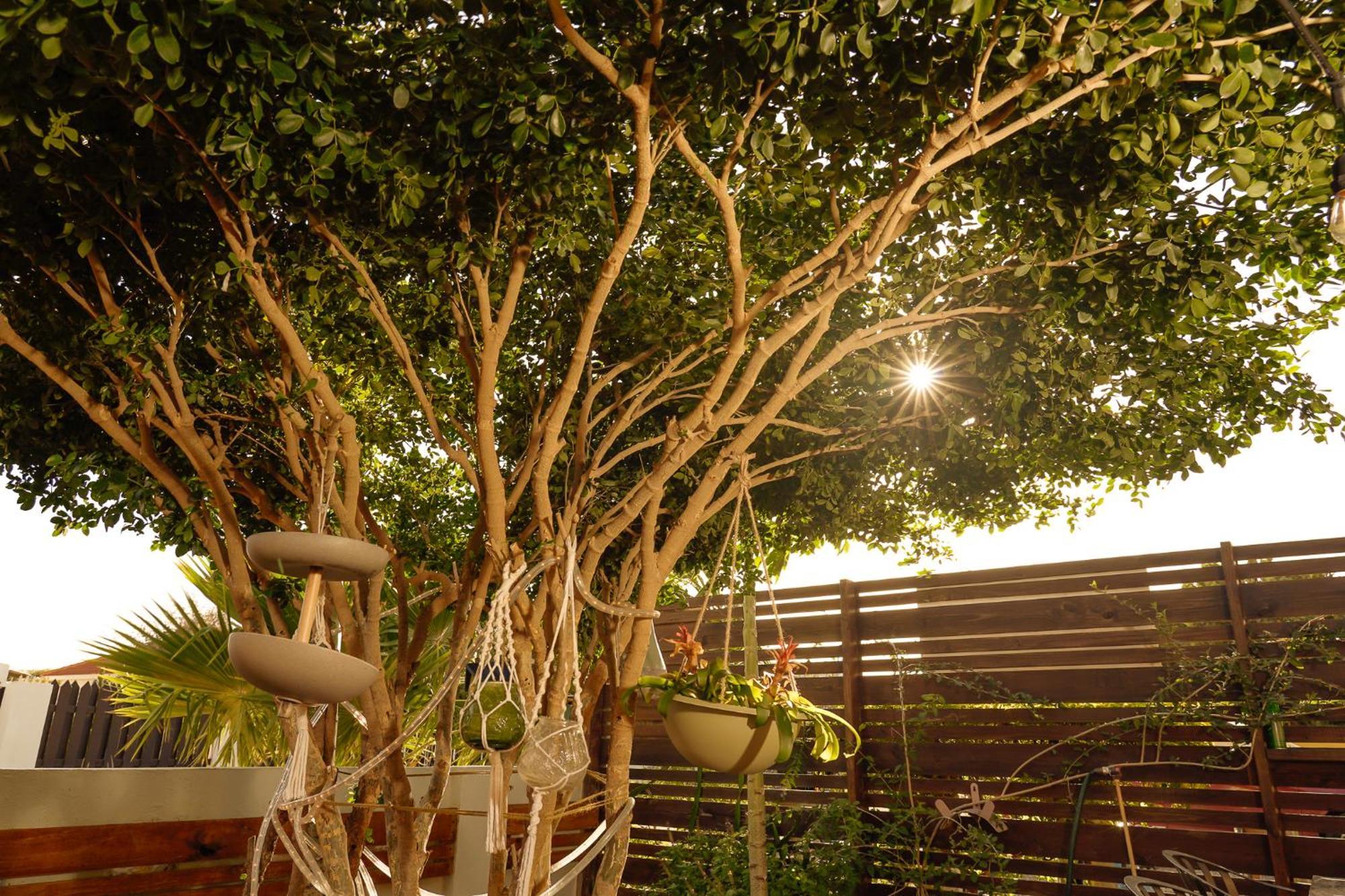 Apartment Anate Beach Apartments, Mangel Alto