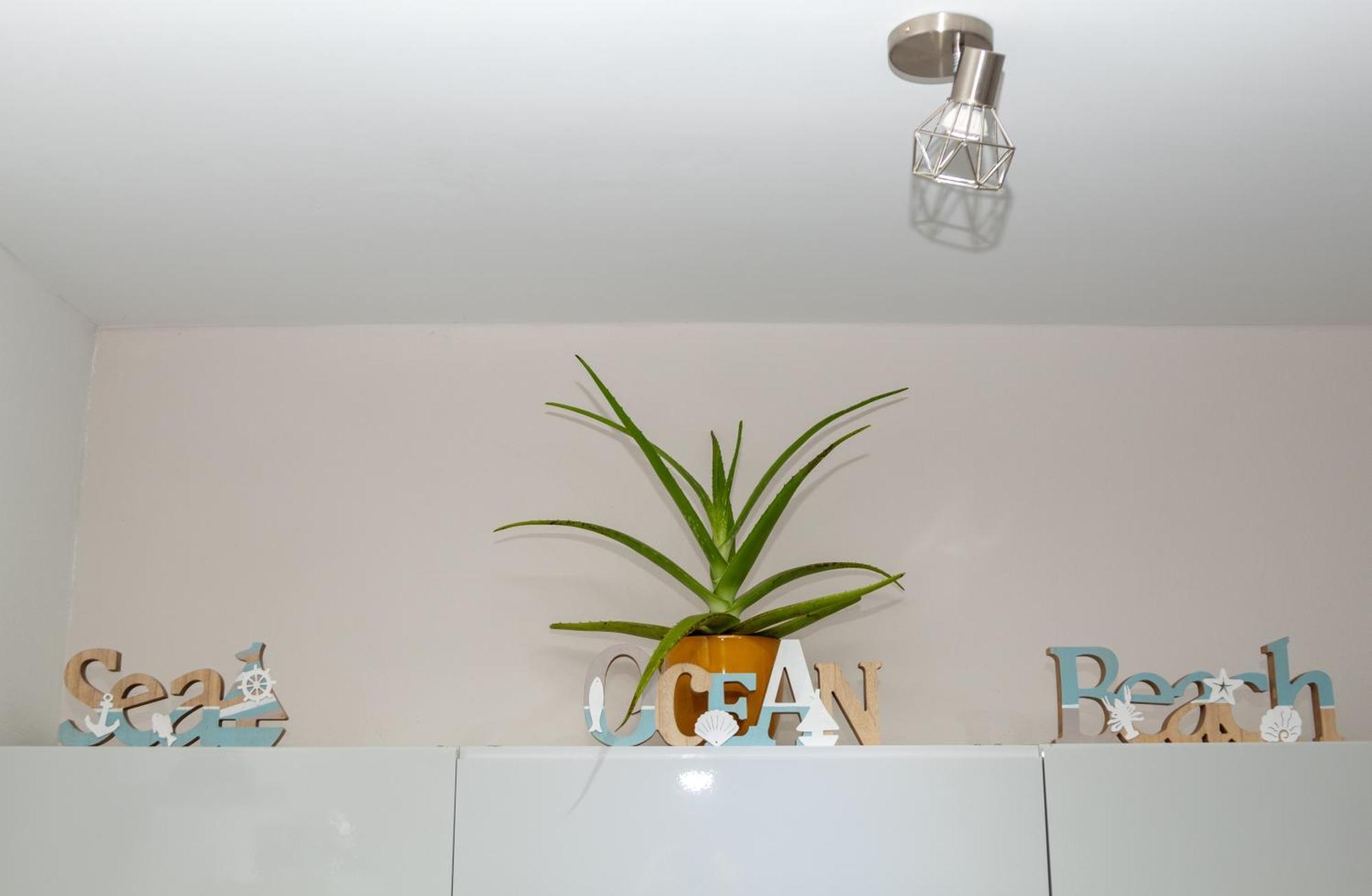 New! Cozy 1 Bedroom Condo- Gold Coast, Noord Aruba *