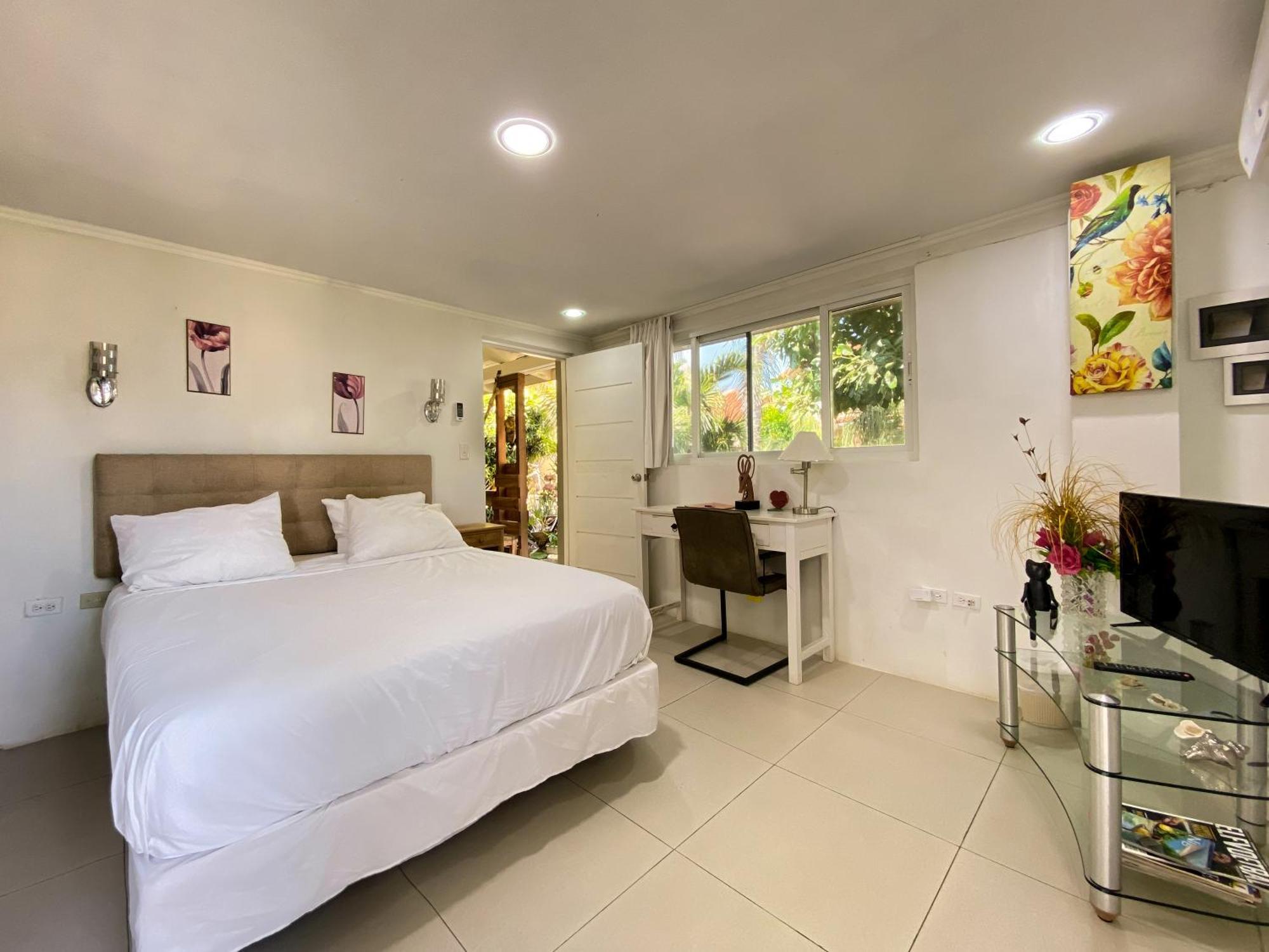 Apartment Casalina Garden 2 Blocks To Palm & Kitesurfing School *