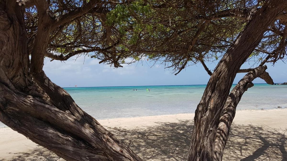 Aruba Holiday park