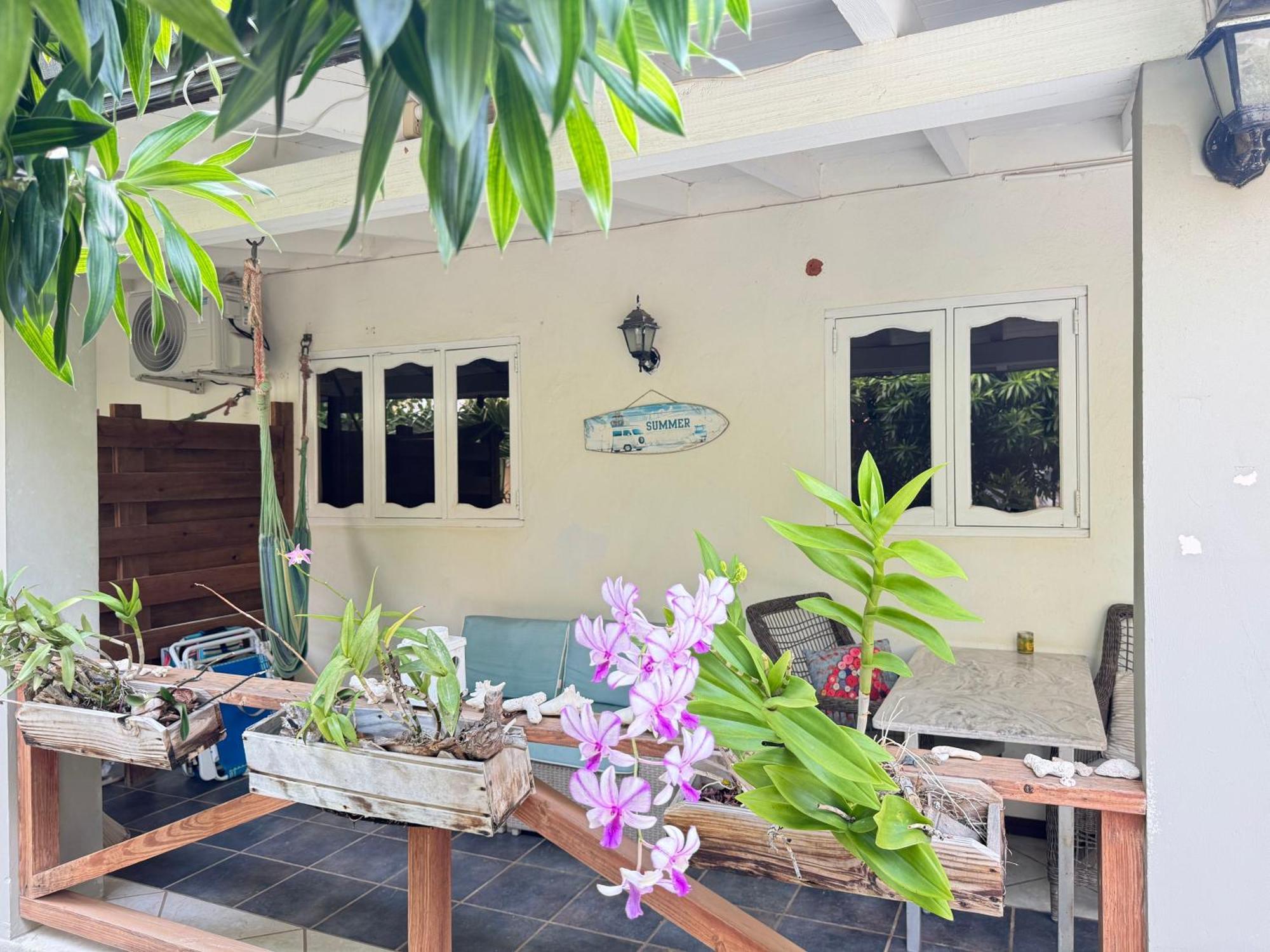 Apartment Casalina Garden 2 Blocks To Palm & Kitesurfing School Palm Beach