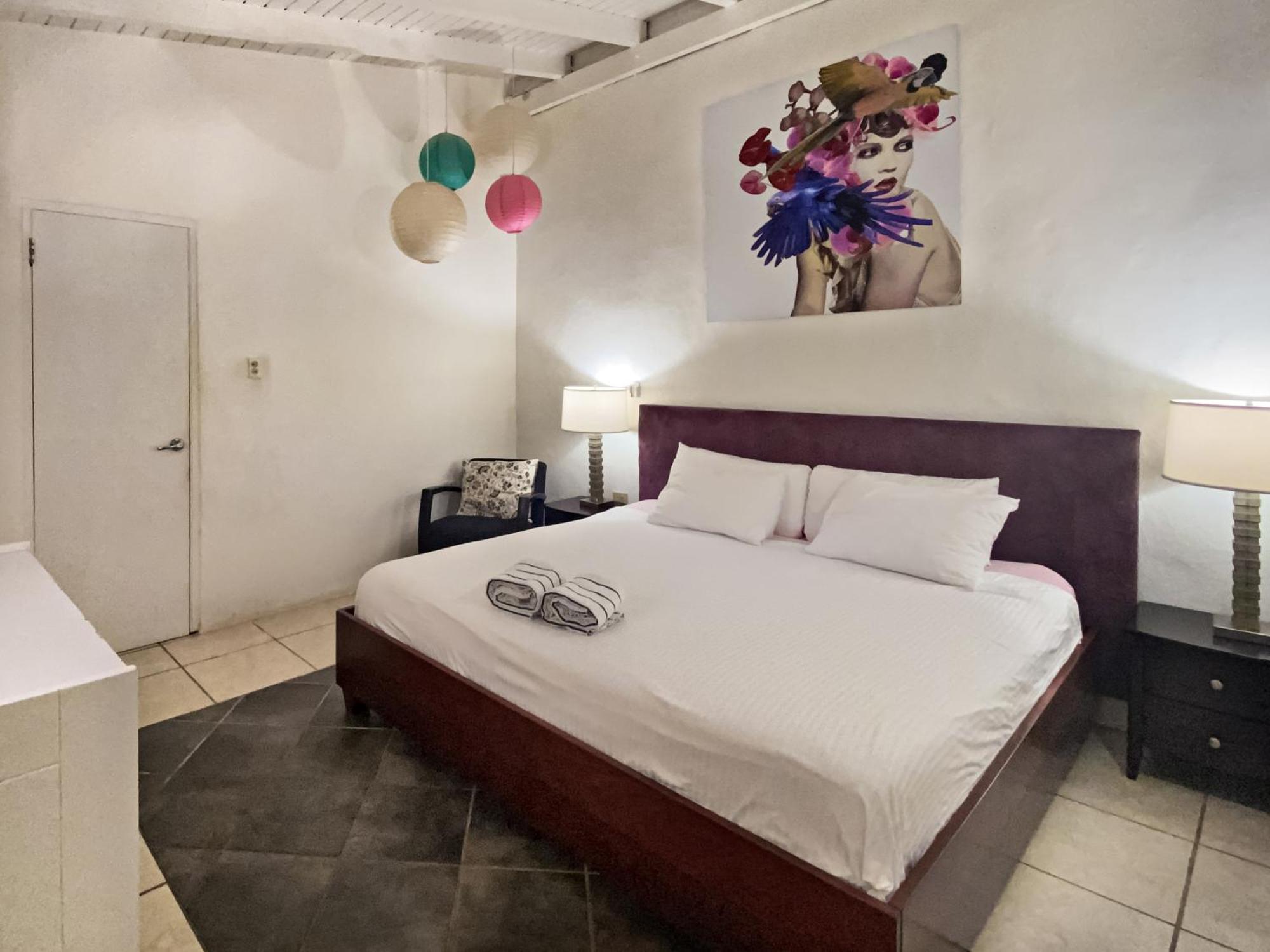 Casalina Garden 2 Blocks To Palm & Kitesurfing School Apartment