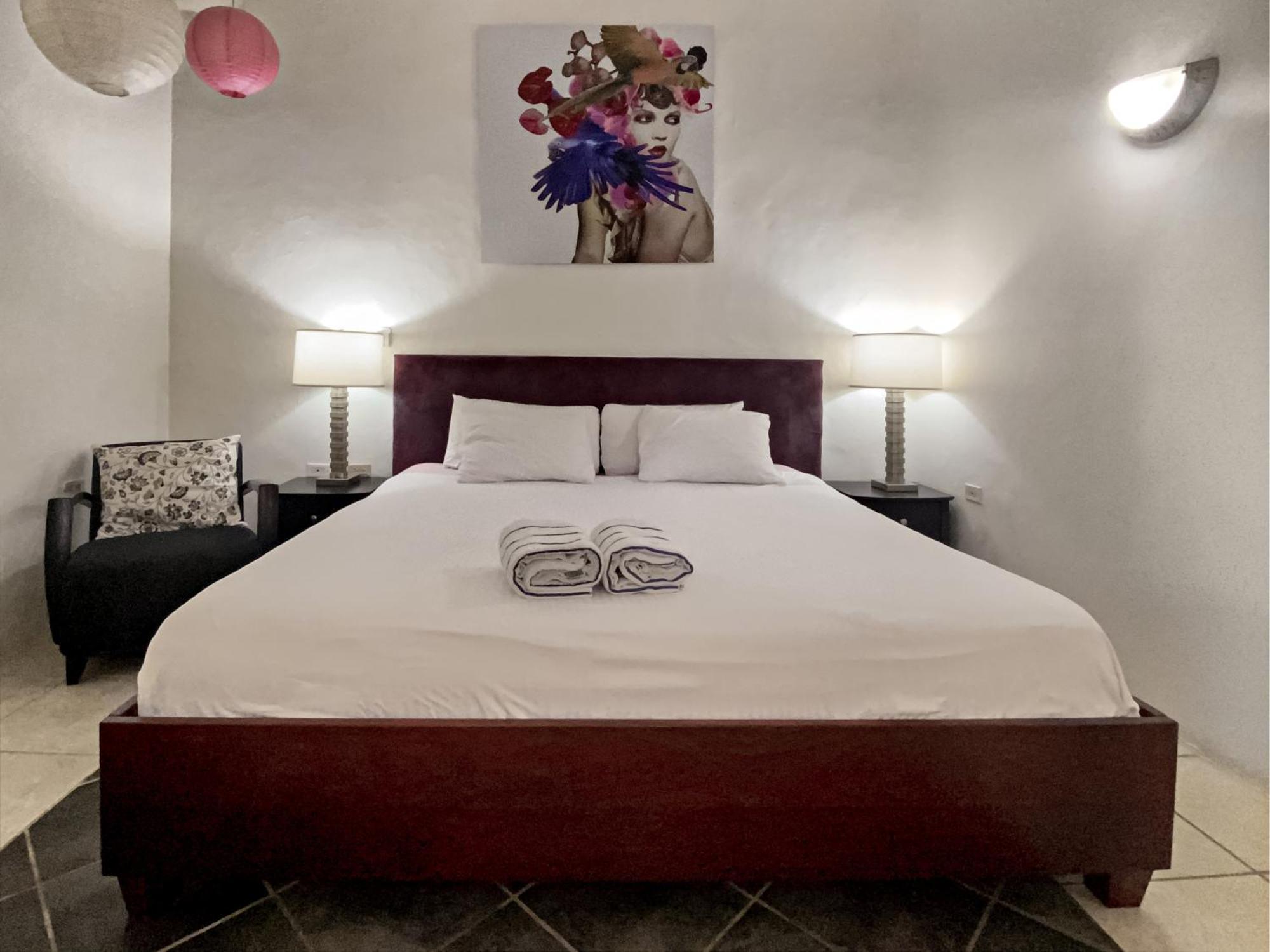 Casalina Garden 2 Blocks To Palm & Kitesurfing School Apartment