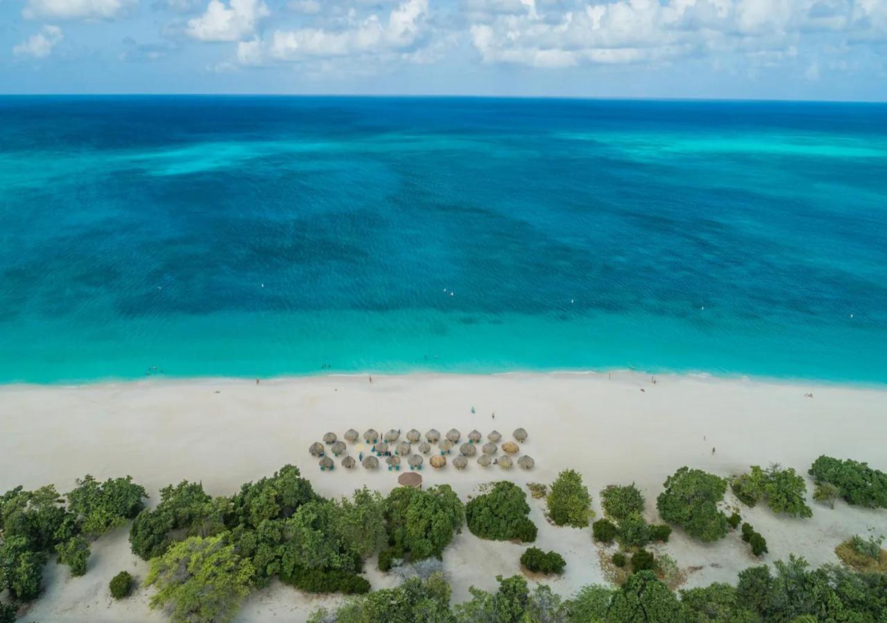 Apartamento Only 350 Yards From Eagle Beach! *