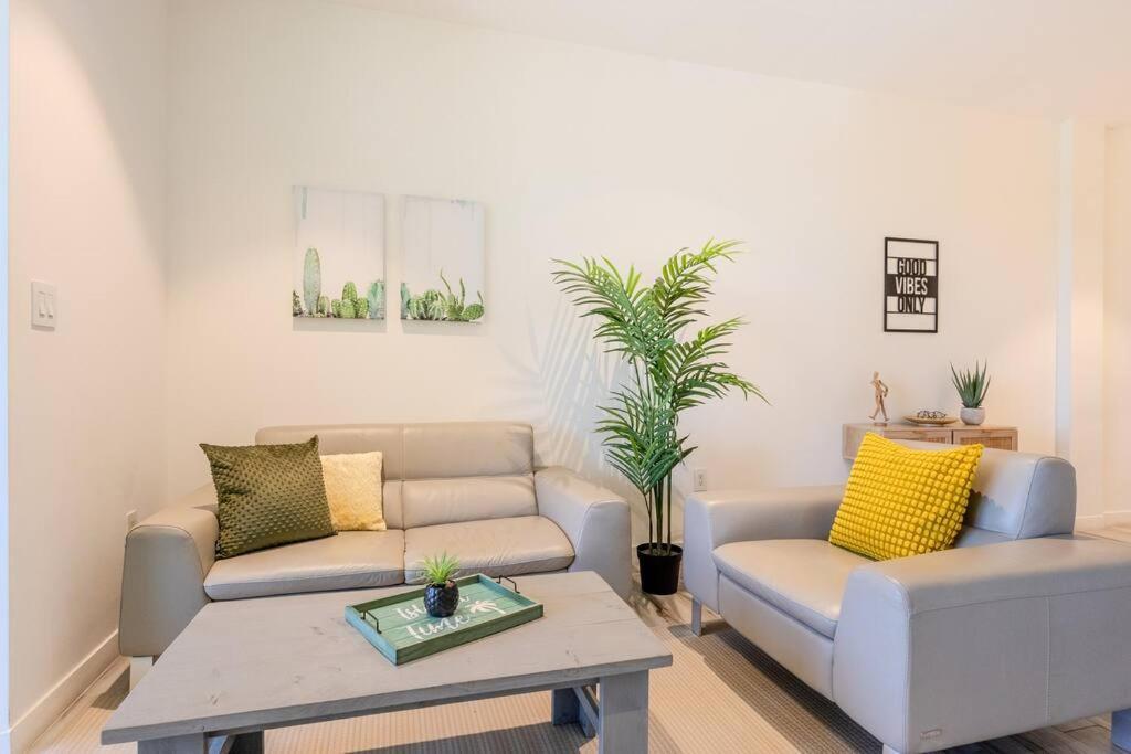 Luxury Ocean Views In Palm Apartment Palm Beach