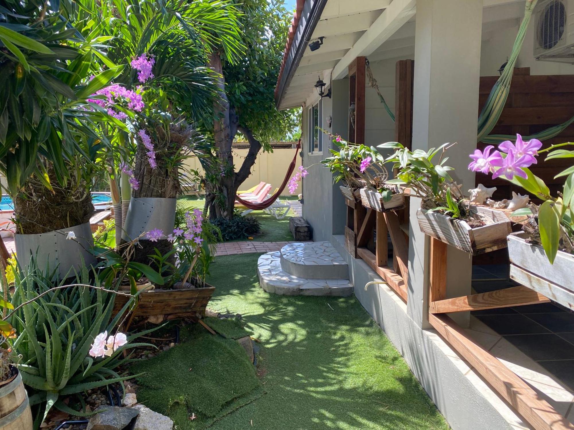 Apartment Casalina Garden 2 Blocks To Palm & Kitesurfing School