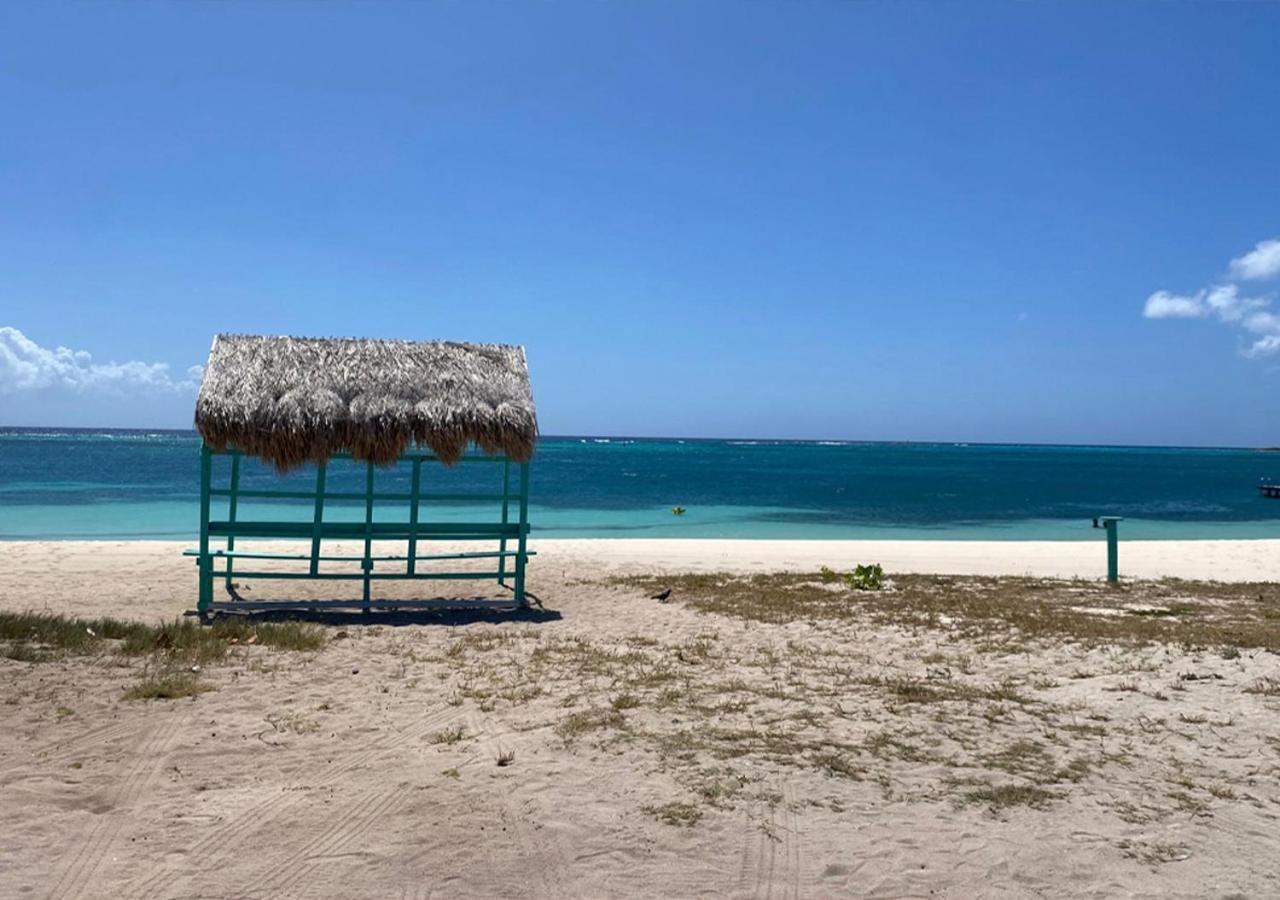 Yoyita Aruba (adults Only) Guest house