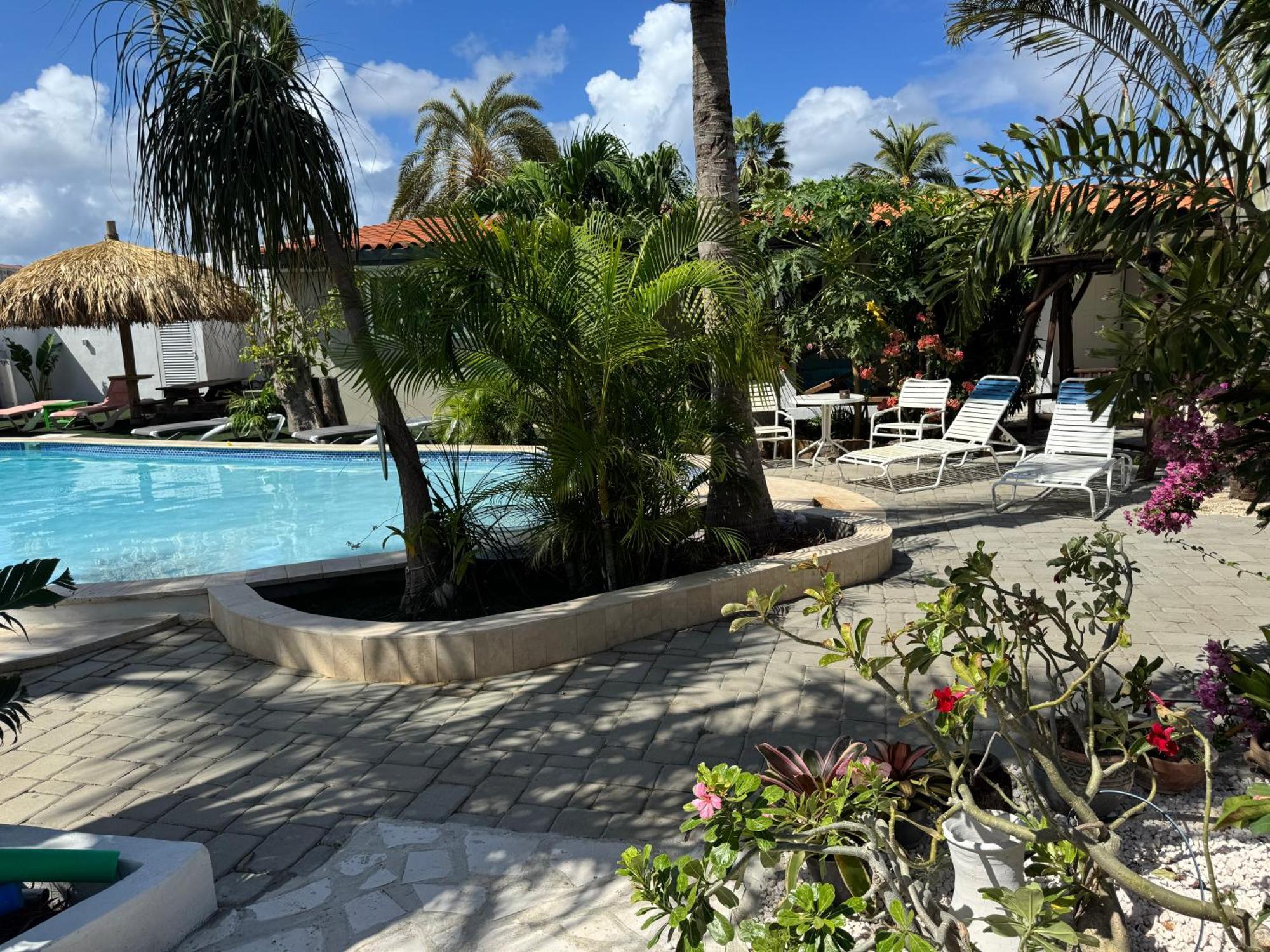 Apartment Casalina Garden 2 Blocks To Palm & Kitesurfing School *