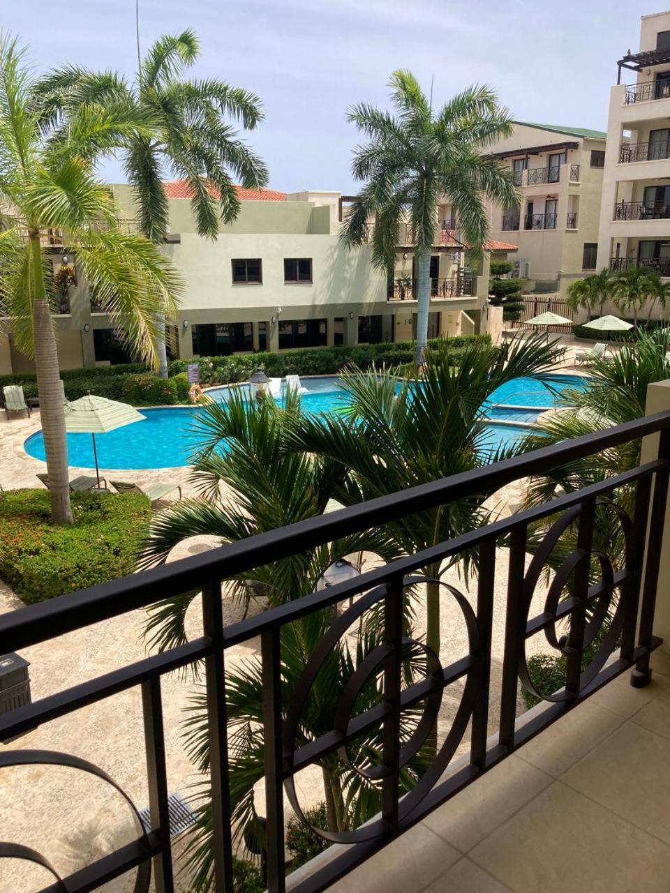 Aruba Stop By The Stop Club Palm Beach