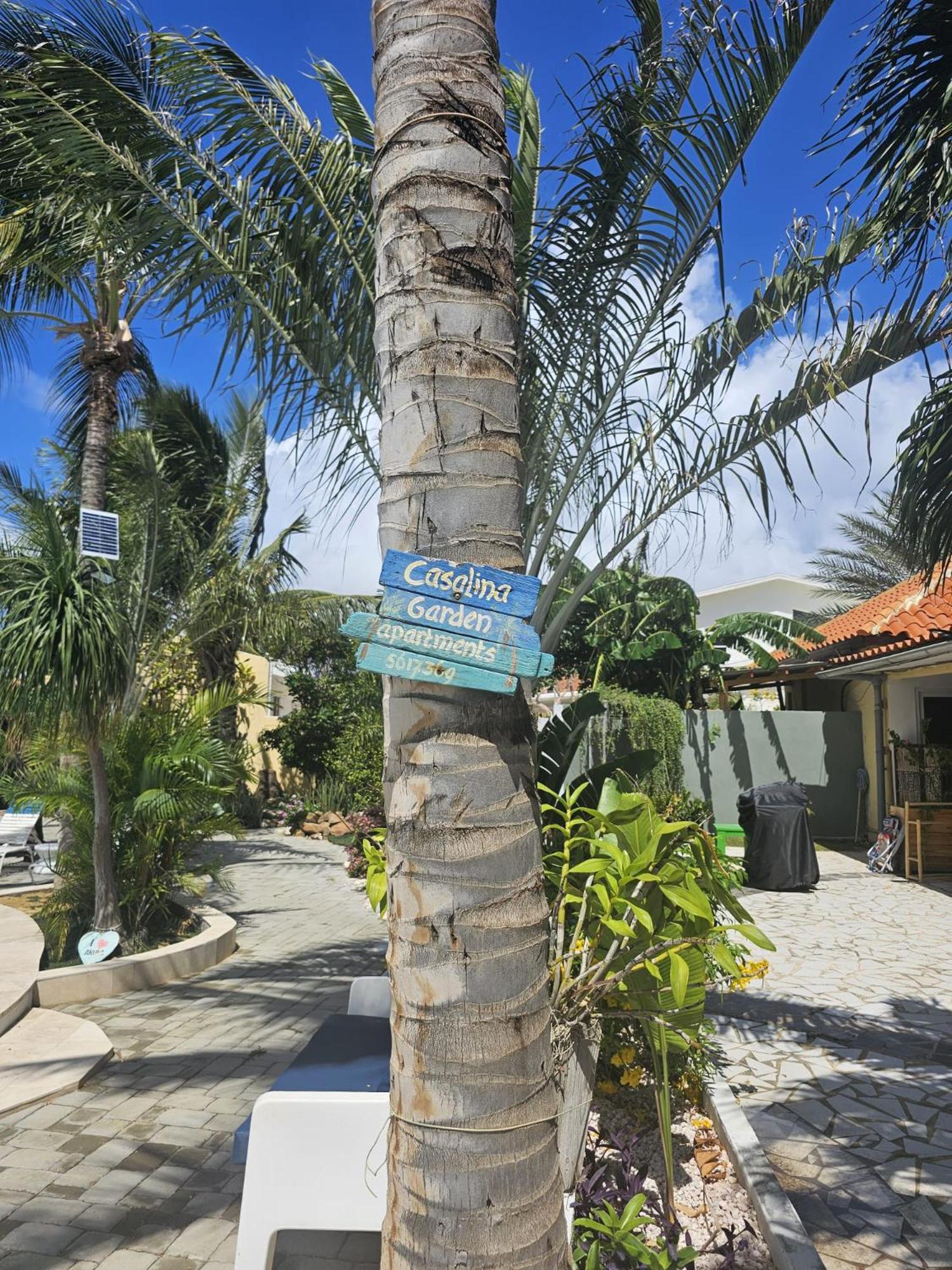 Casalina Garden 2 Blocks To Palm & Kitesurfing School