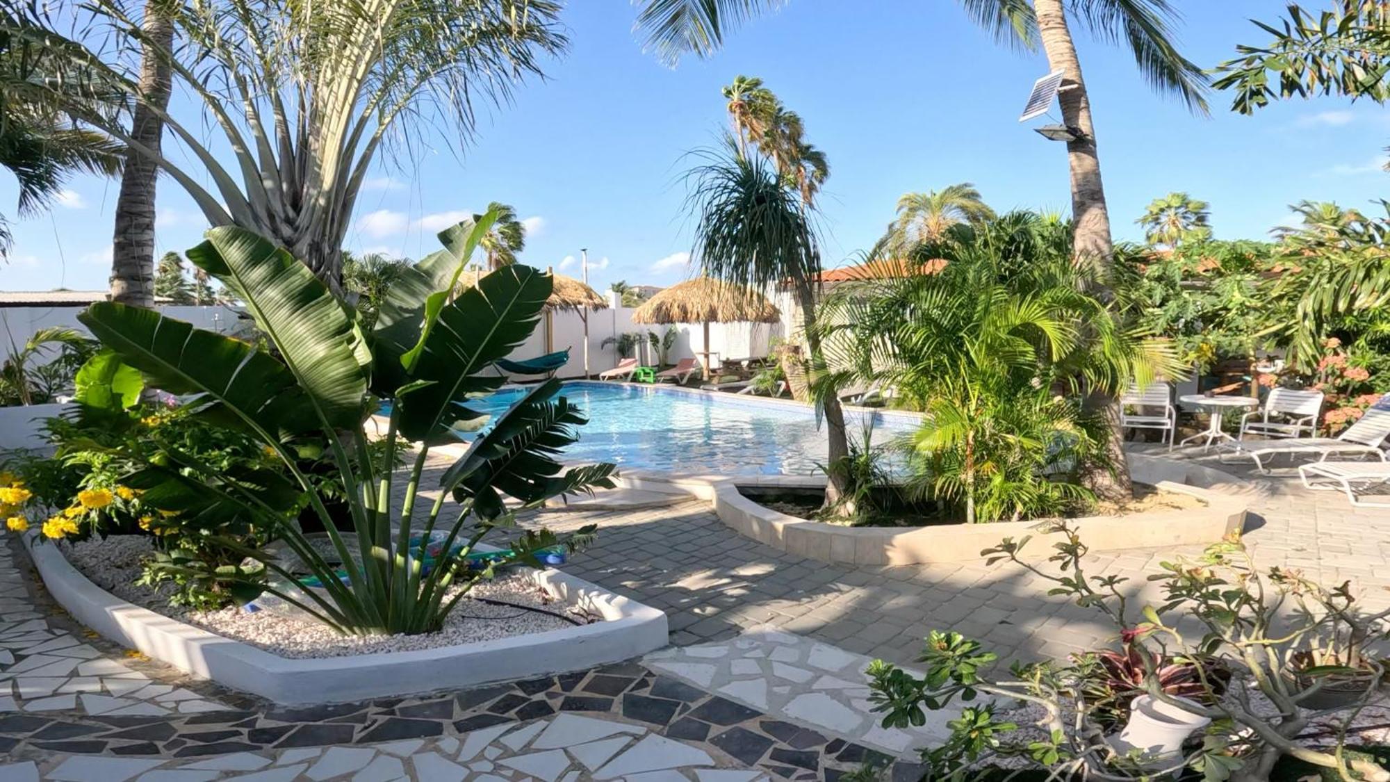 Casalina Garden 2 Blocks To Palm & Kitesurfing School Apartment