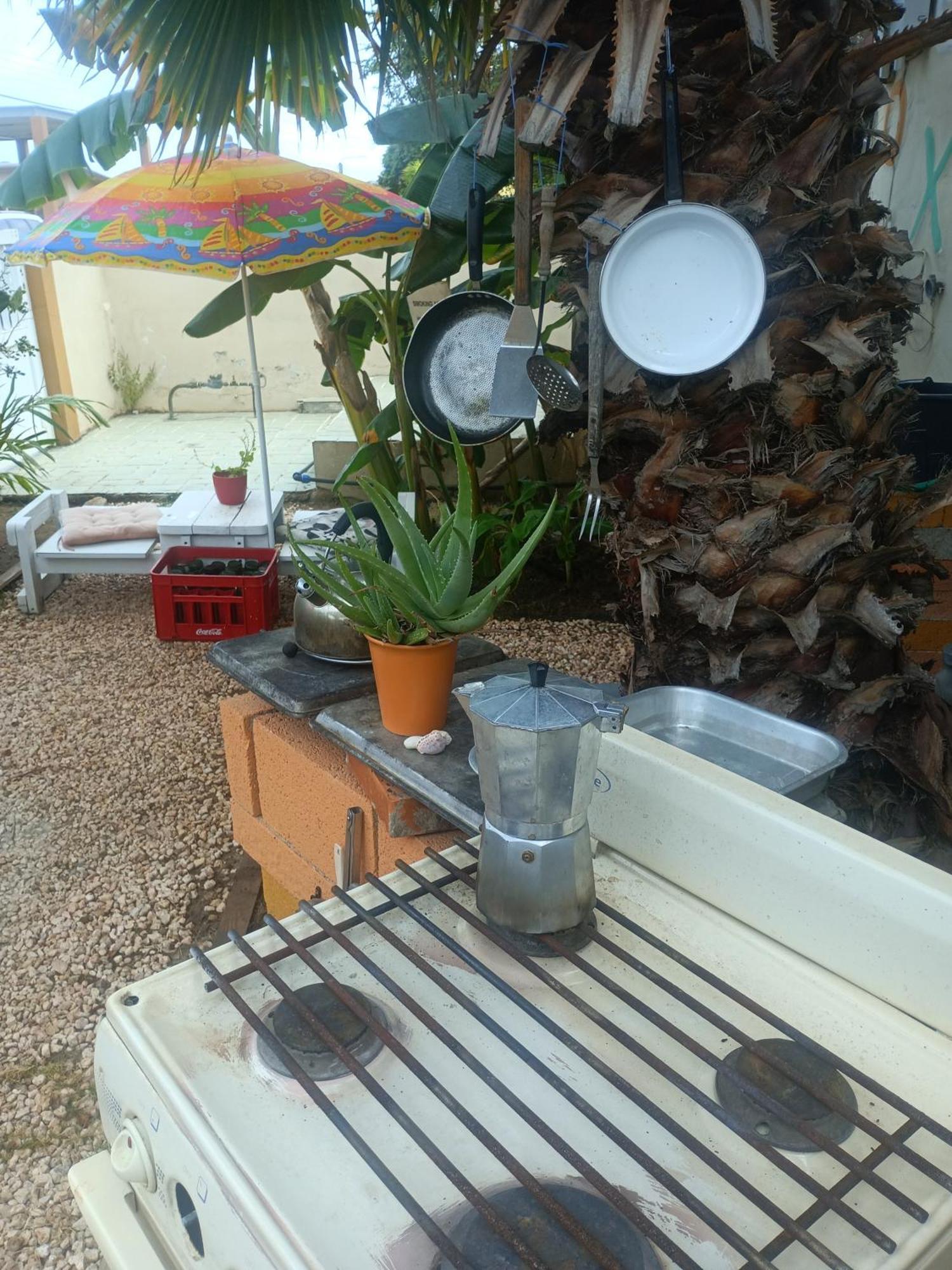 Aruba Backpackers Apartamento *