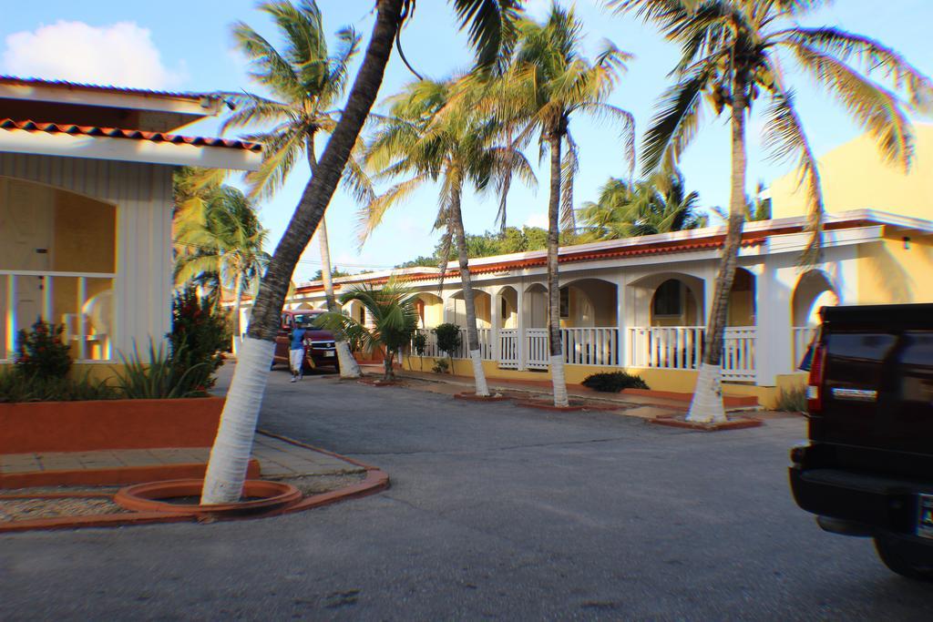 Coconut 3* Palm Beach