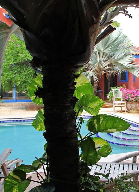 Apartment La Maison Aruba