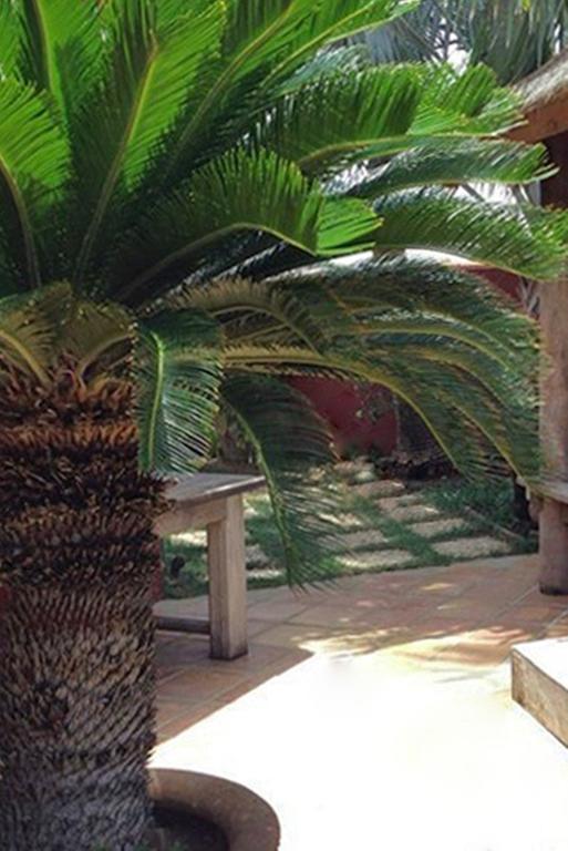 La Maison Aruba