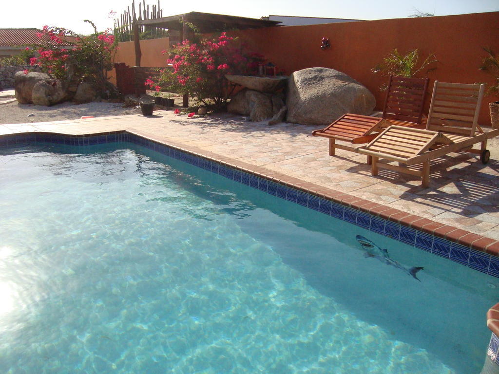 Bed & Breakfast Fuego Mio