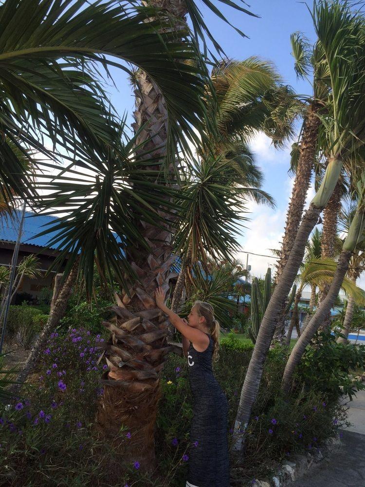 Aruba Blue Village And Hotel