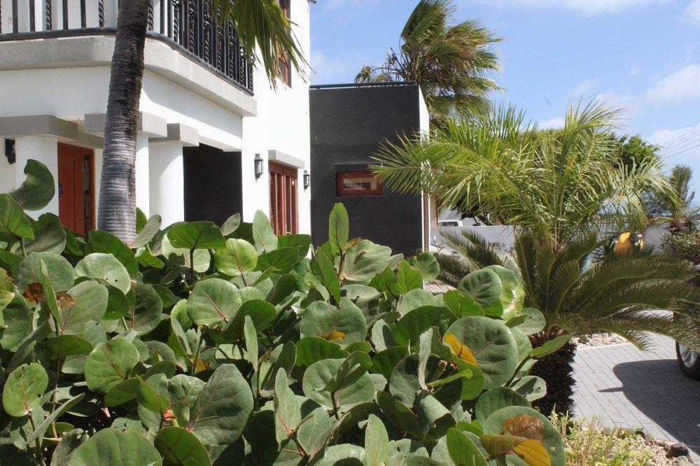 Genesis Bed & Breakfast 3* Aruba