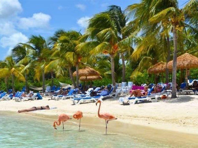 Hotel Aruba Blue Village And