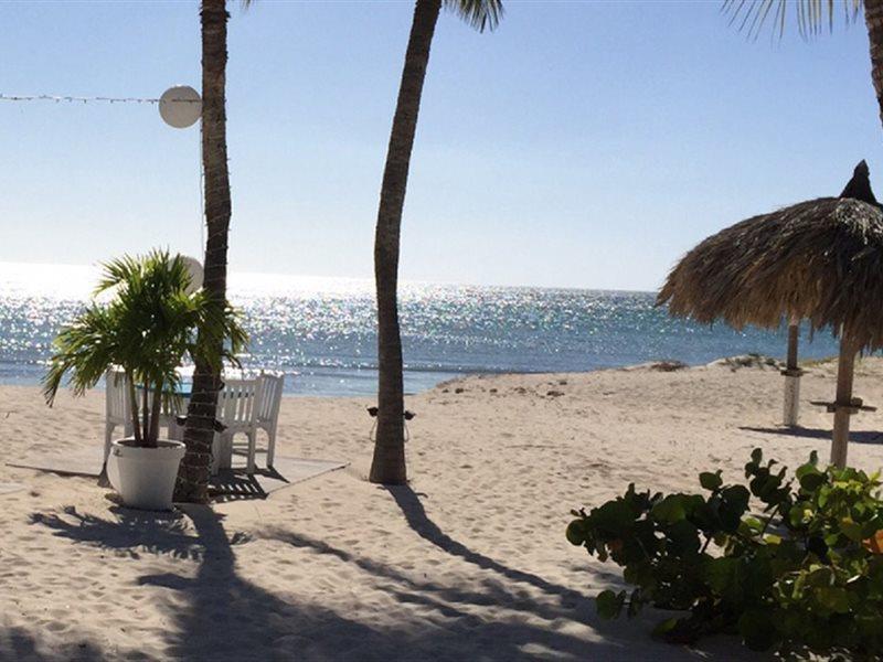 Aruba Blue Village And Palm Beach