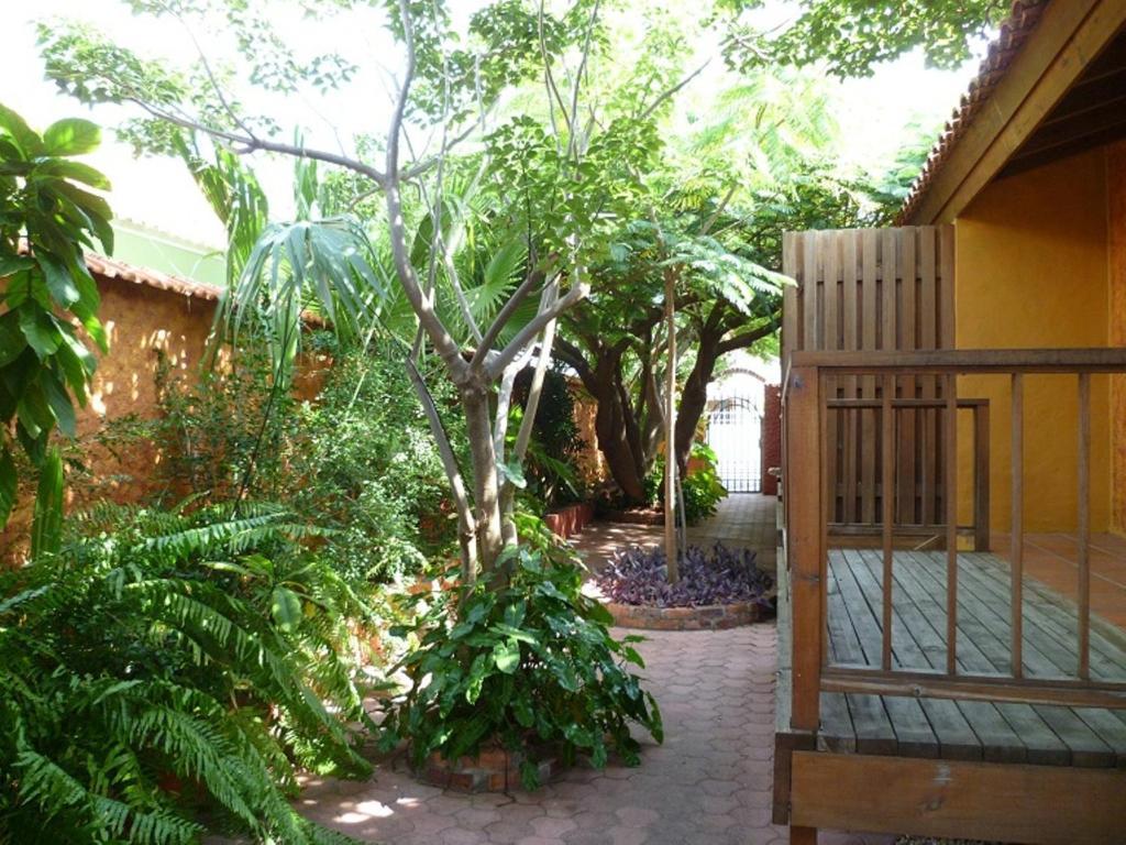 Flamboyant Garden