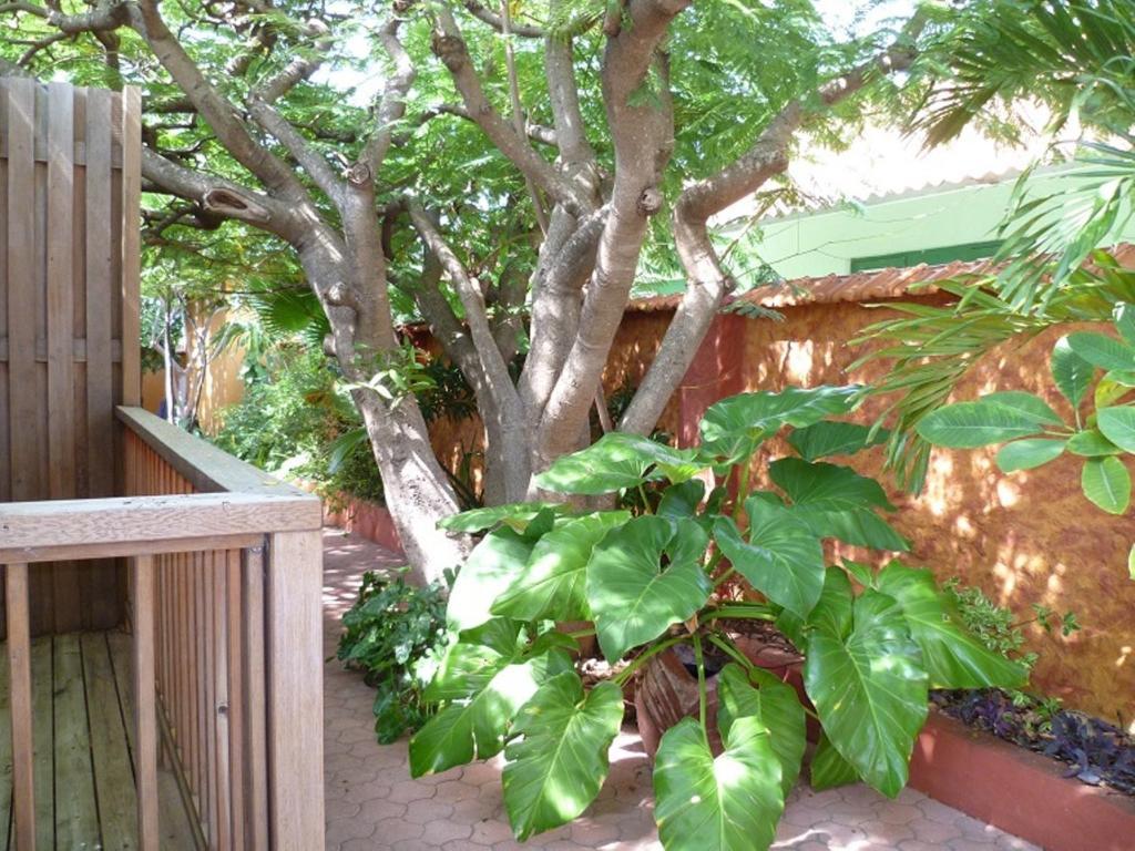 Flamboyant Garden Aparthotel Oranjestad