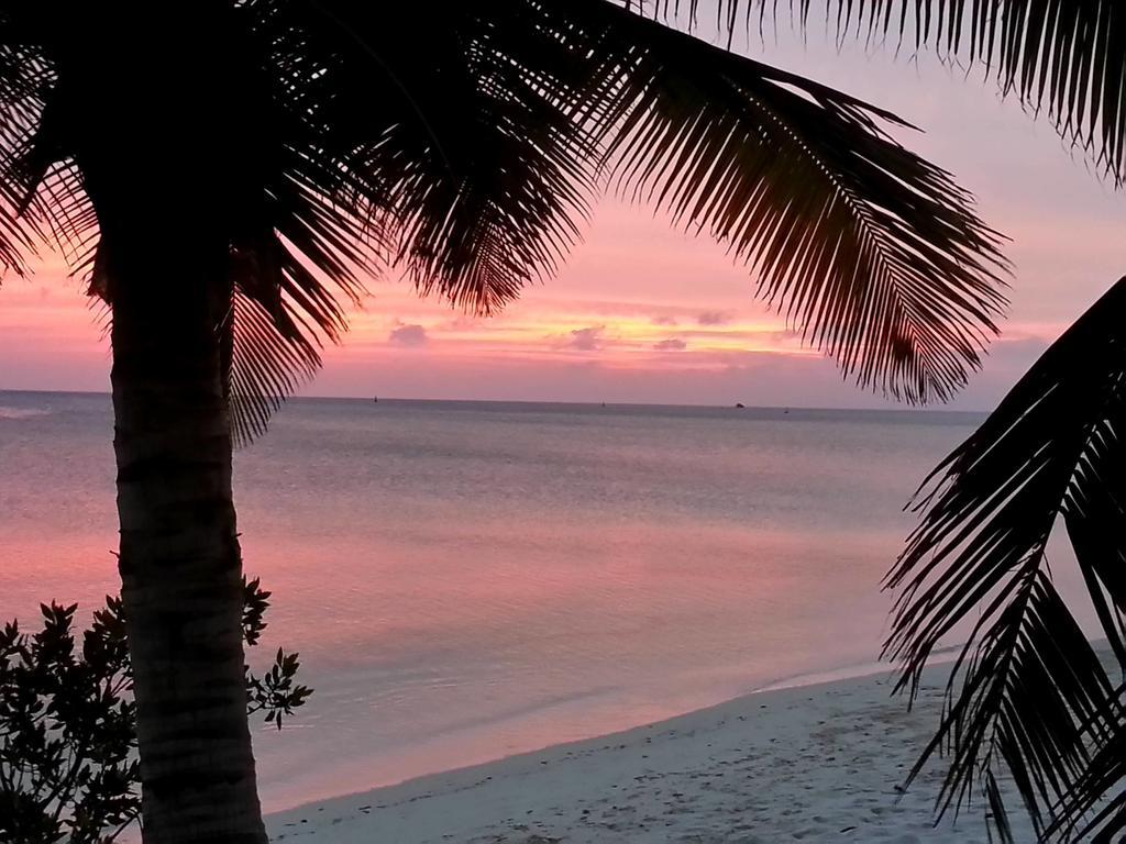 Aruba Surfside Marina