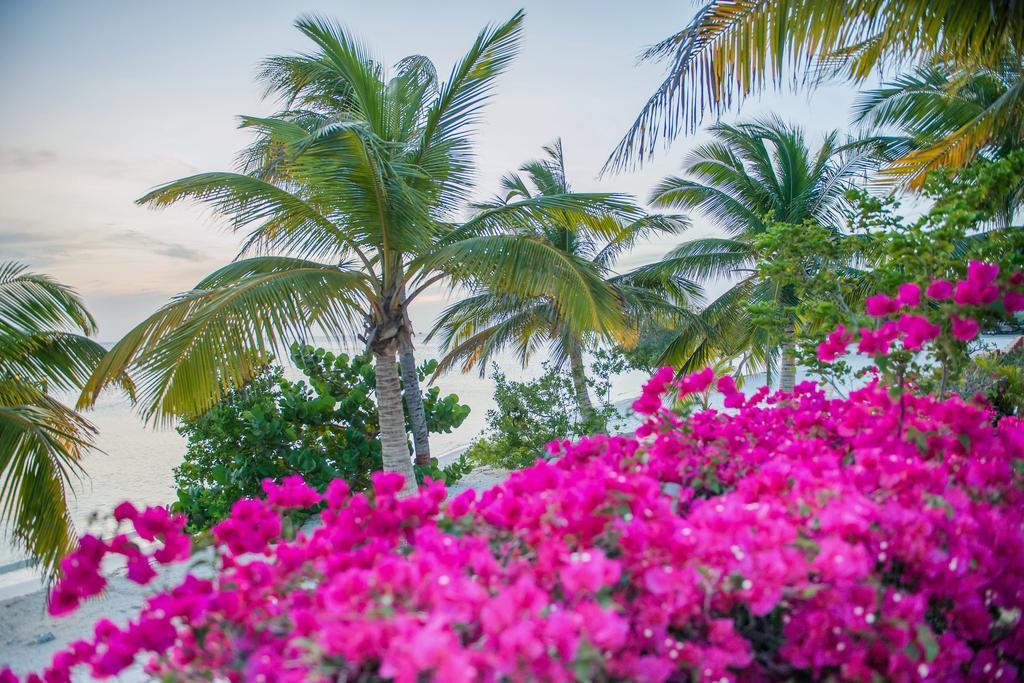 Hotel Aruba Surfside Marina Oranjestad
