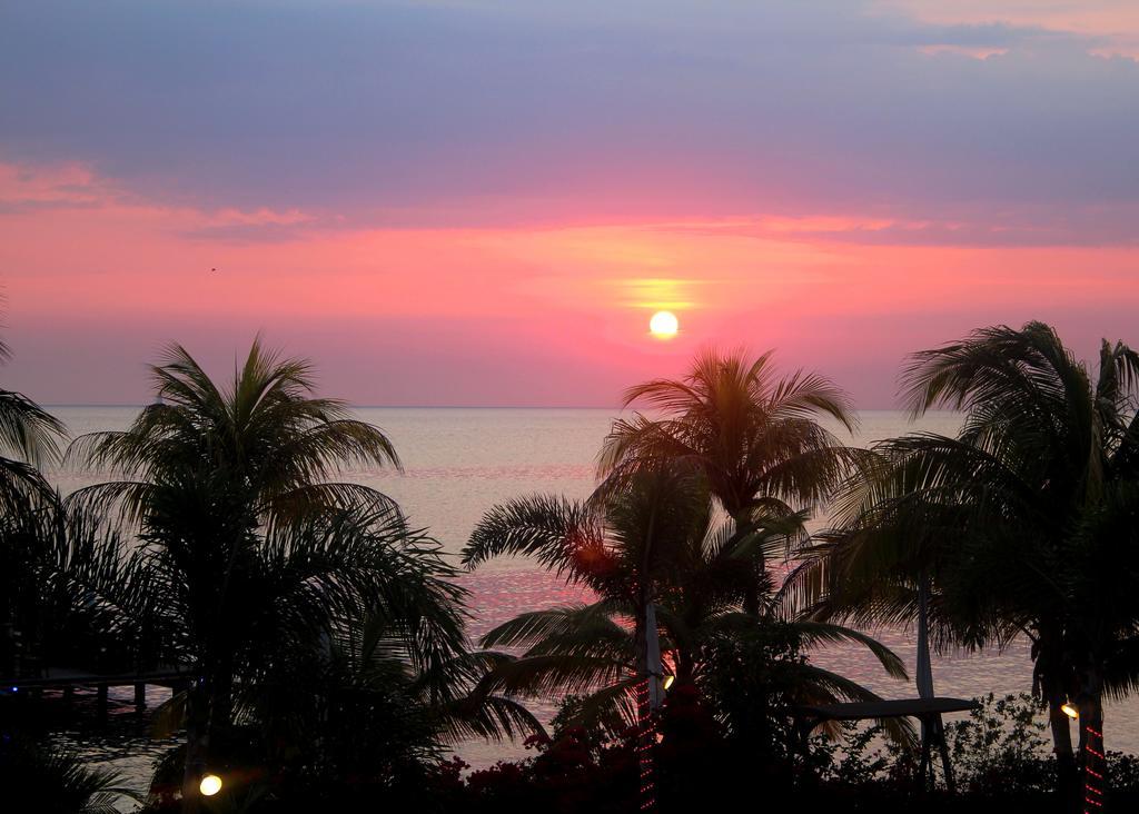 Hotel Aruba Surfside Marina