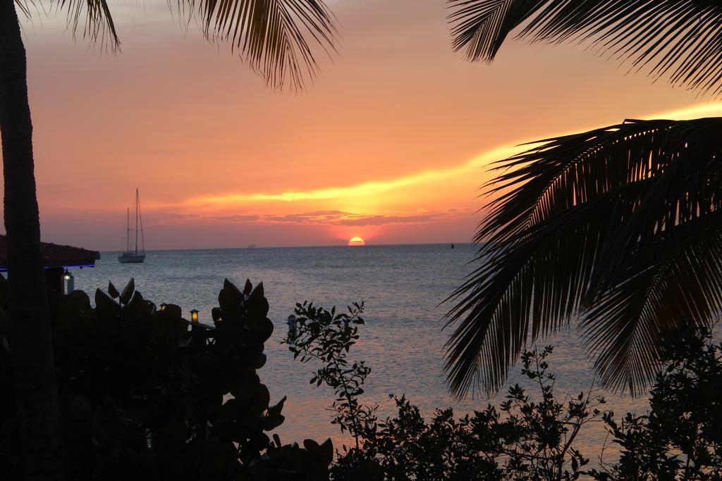 Hotel Aruba Surfside Marina 2*